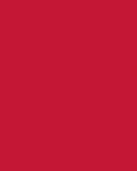 Etalagekarton Folia 1-zijdig 48x68cm 380gr nr211 rood