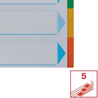 Tabbladen Esselte Standaard A4 5-delig karton 11-rings met voorblad assorti-6
