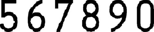Numeroteur Reiner B2 Block 5.5mm 6 cijfers-3