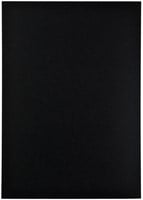 Kopieerpapier Papicolor A4 100gr 12 vel ravenzwart-3
